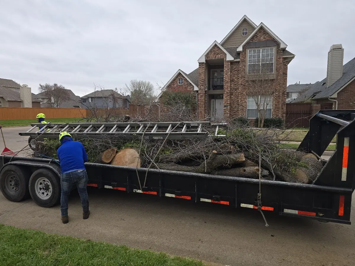 Expert Tree Fertilization with proper safety equipment in Sparks Glencoe